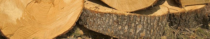 tree services